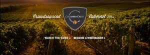 Cabernet Sauvignon grace au crowdsourcing
