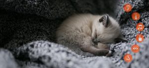 bien-être-appel-à-idées