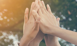 Visuel--FNBP-le-wok-cocreation